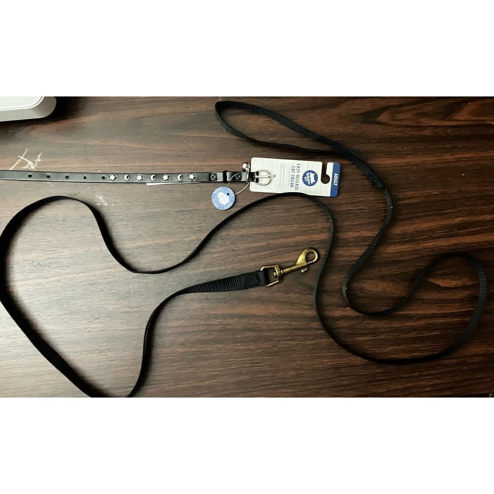 Pet Leash & Collar with Adjustable Neck Easy Release Cat Collar for Adult Cat